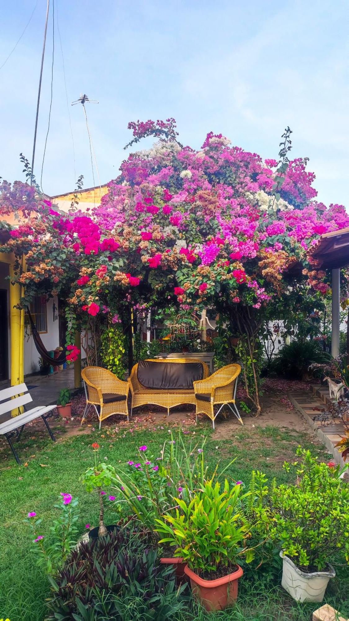 Pousada Solar Encanto Do Marajo Soure Exterior photo